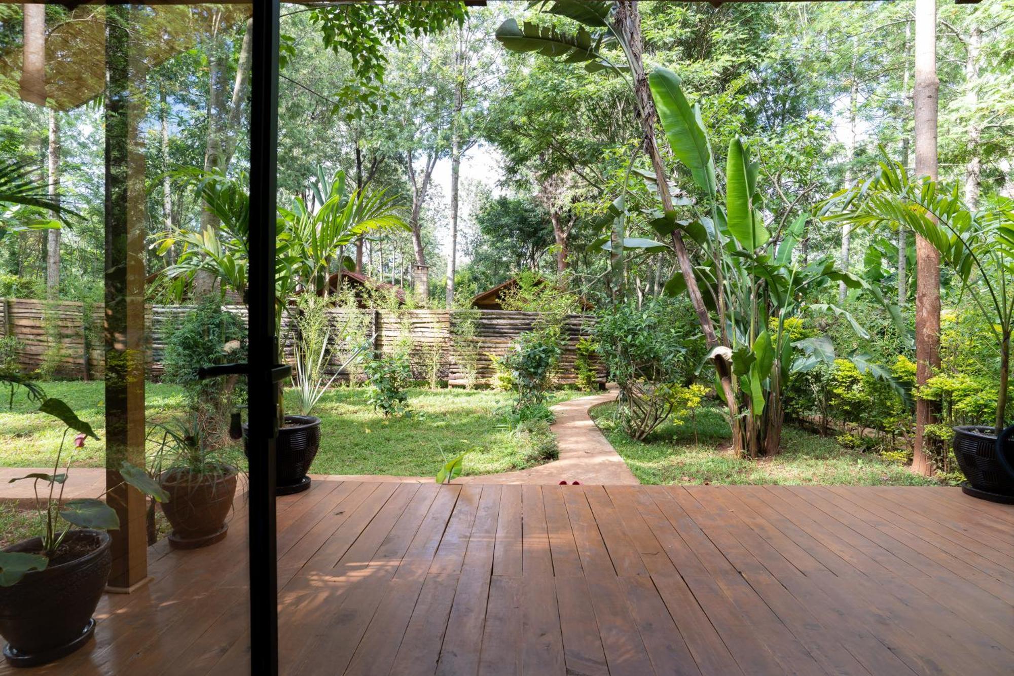 The Jungle Oasis With Heated Pool Apartman Nairobi Kültér fotó